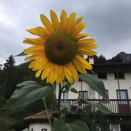 Agriturismo Dagai Sospirolo Esterno foto