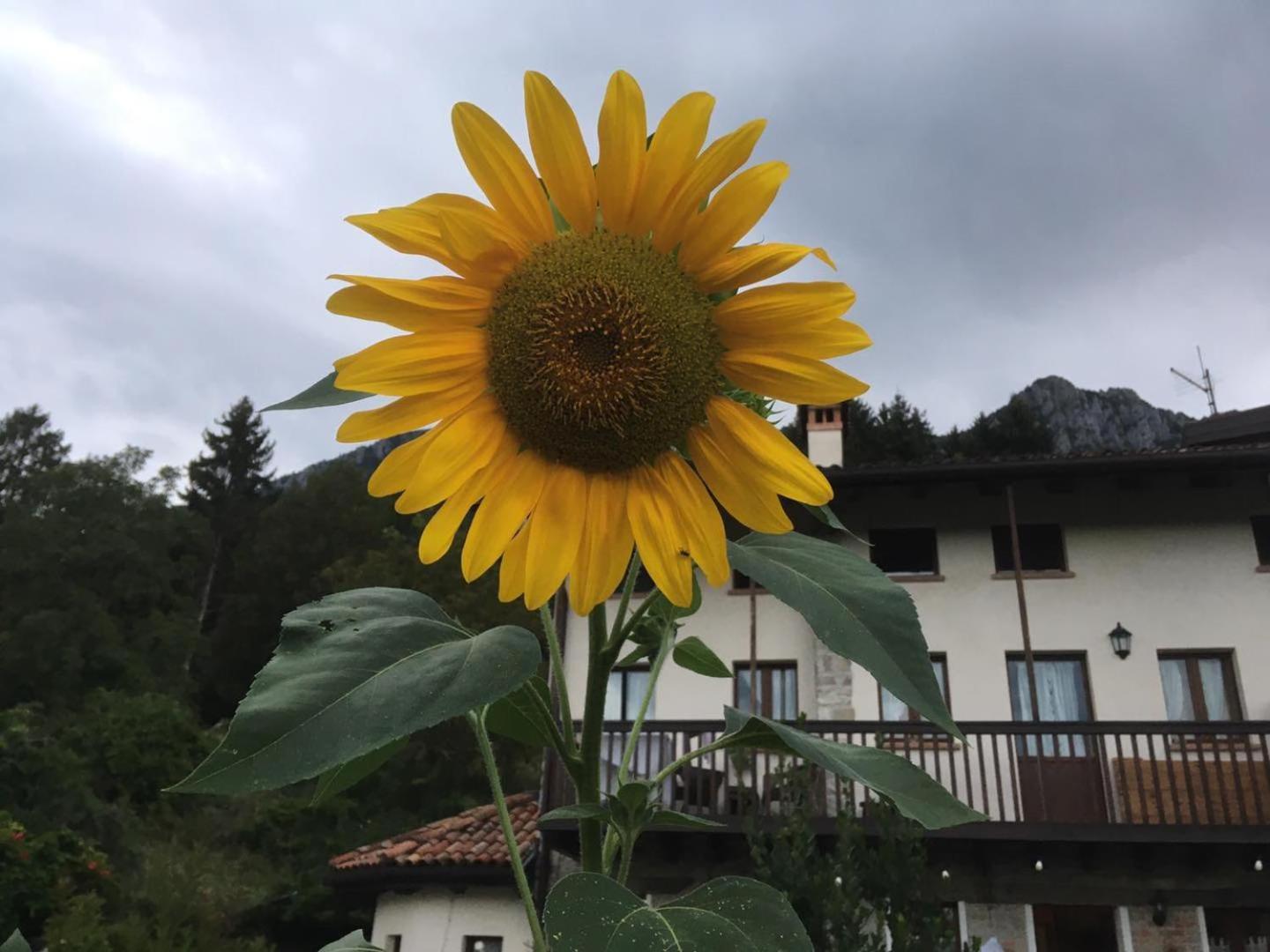 Agriturismo Dagai Sospirolo Esterno foto